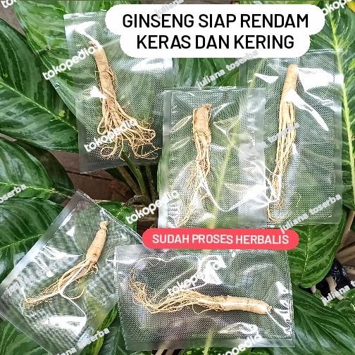 

Ginseng Herbalis Kering Utuh Per Batang ( S ) Mutu Terjamin Sehat