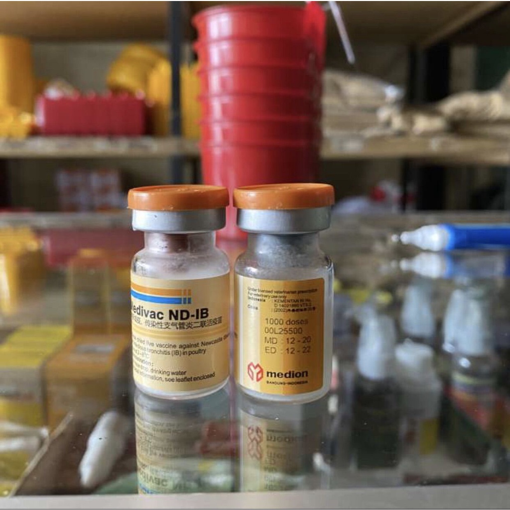 MEDIVAC ND IB VAKSIN AYAM unggas vaksin ND telo pernafasan dosis 500 dosis 1000 vaksin ayam bebek br