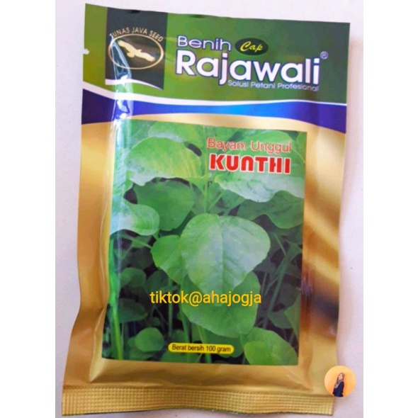 BENIH BAYAM KUNTHI Cap Rajawali 100 gram