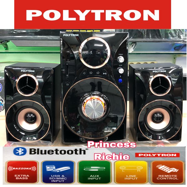 speaker polytron PMA 9310