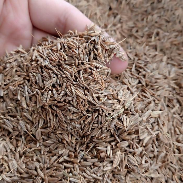 

Jinten Jintan Cumin Seed 500Gram Fresh Dan Bersih Best Seller