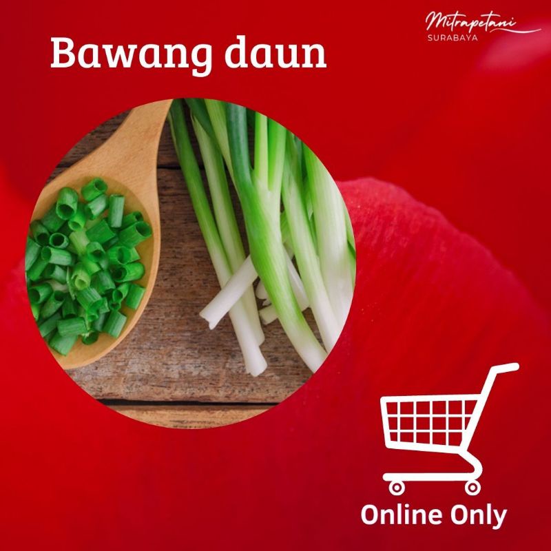 

Bawang daun,bawang daun 500 gram, bawang daun segar