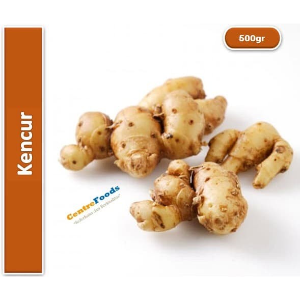 

Kencur - Cekur Fresh | 500gr [ Harga Per 0,5 Kg ]