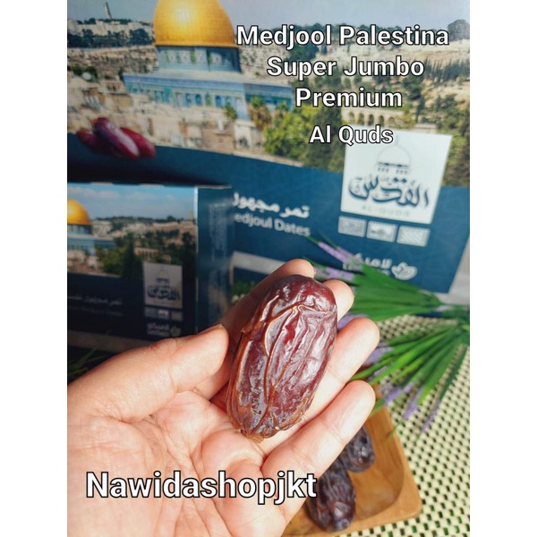 Kurma Medjool Palestina 1 Kg Al Rowad Al Quds Premium Classic Super Jumbo