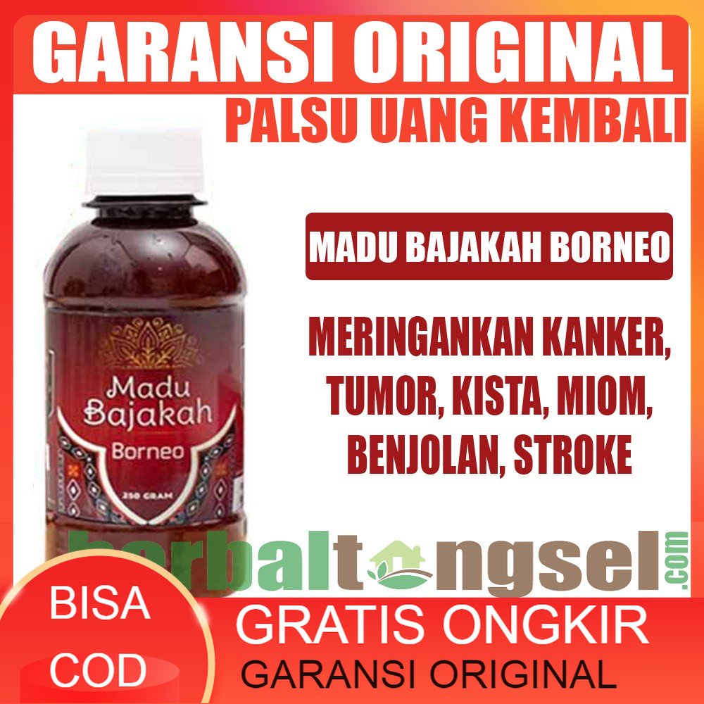 

Madu Bajakah Borneo Original Madu Bajakah Premium Quality Madu Bajakah Borneo Asli Garansi