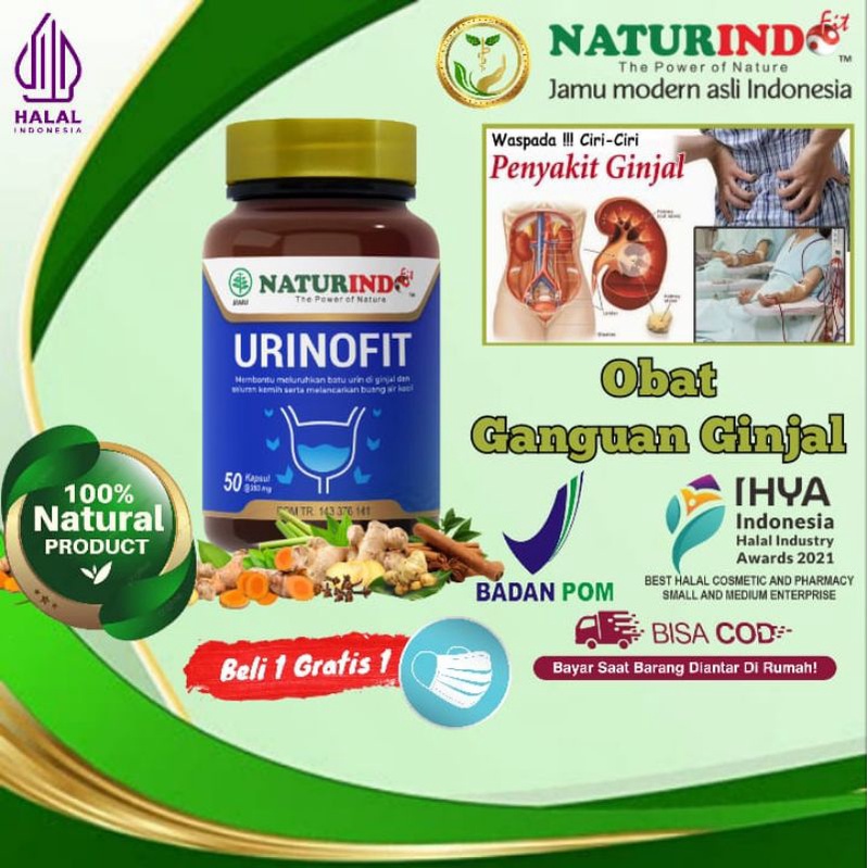 Obat Batu Ginjal Gangguan Ginjal Sakit Nyeri Pinggang Pelancar Kencing Anyang anyangen Herbal Spesia