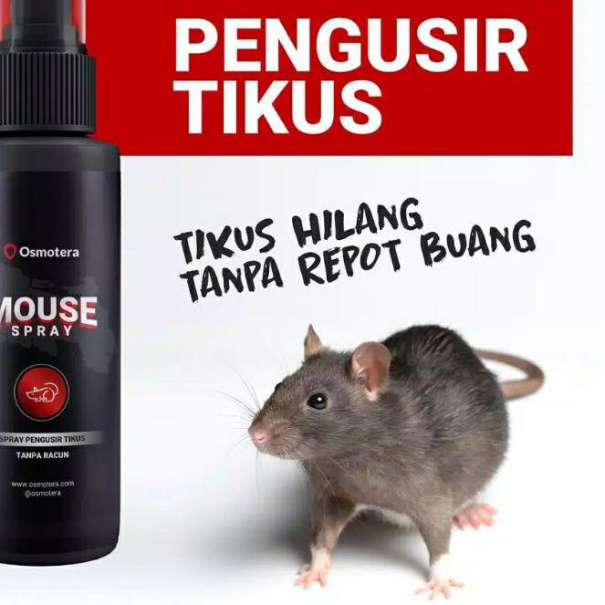 ◌ Osmotera Mouse Spray Pengusir Tikus Tanpa  ♪