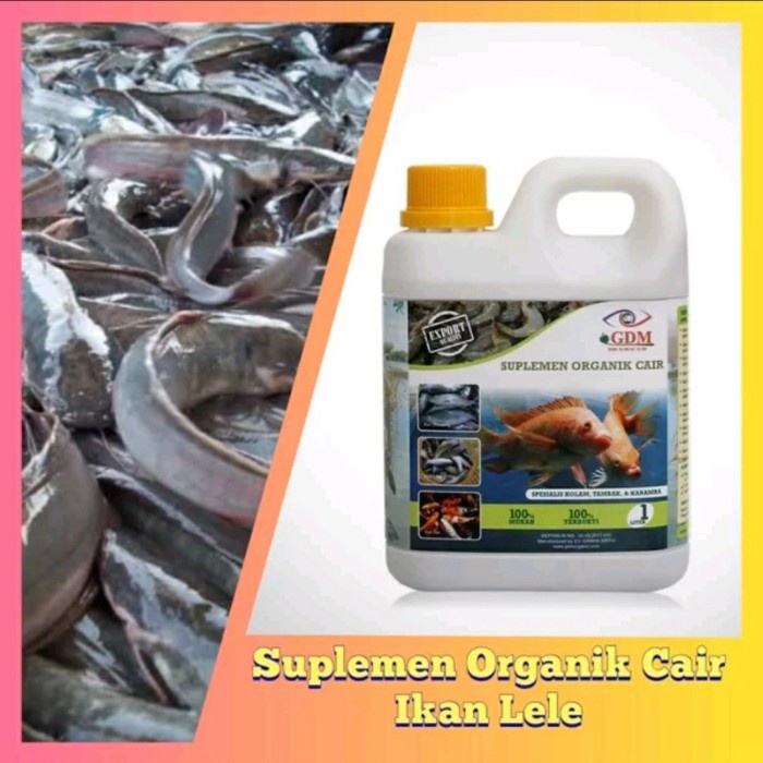 Probiotik Suplemen Organik Cair Gdm Untuk Lele, Budikdamber, 1 Liter