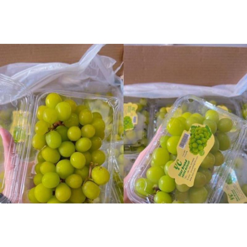 

ANGGUR AUNTUM SHINE MUSCAT PROMO
