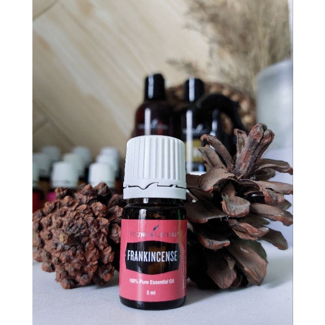 Frankincense Essential Oil YL 5ml