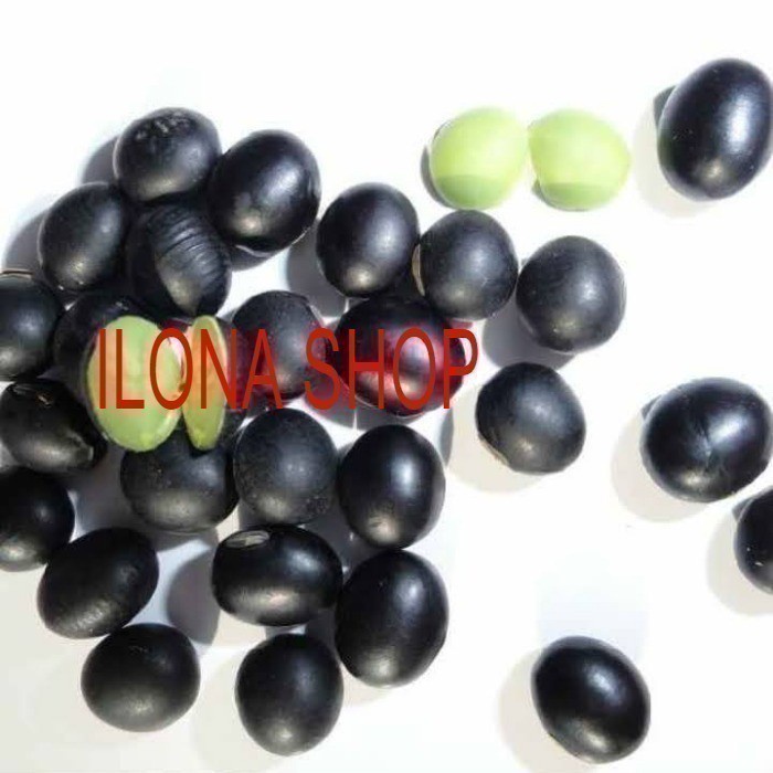 

KACANG KEDELAI HITAM PREMIUM IMPORT 500GR/KEDELAI HITAM KERING SOYBEAN