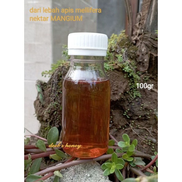 

madu murni Raw honey nektar MANGIUM 100gr