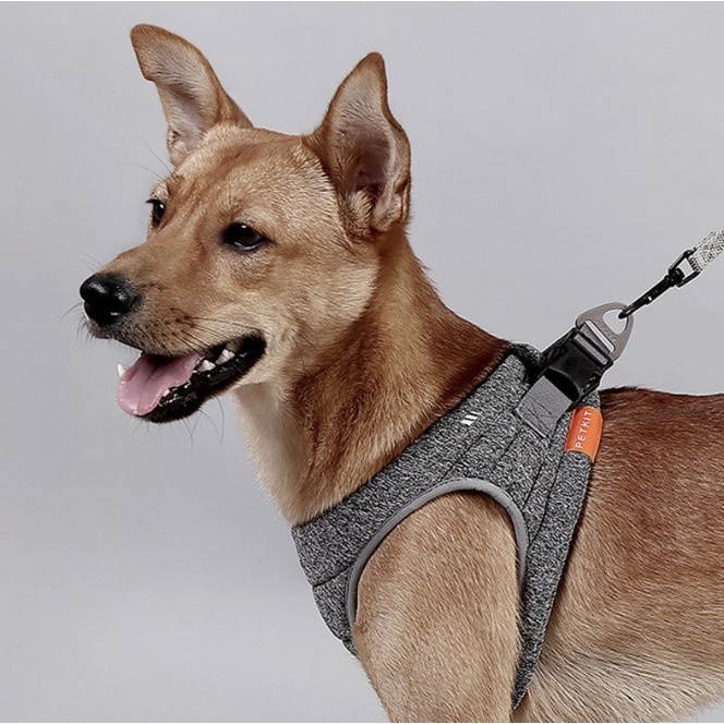 ⭐BISA COD⭐ PETKIT Dog Harness Air Pro (M)