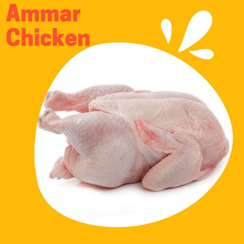 

Ayam Karkas Ukuran 800-900 gr