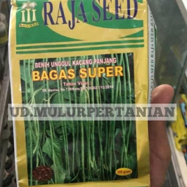 Benih unggul kacang panjang BAGAS SUPER tahan virus dari Raja seed Qink