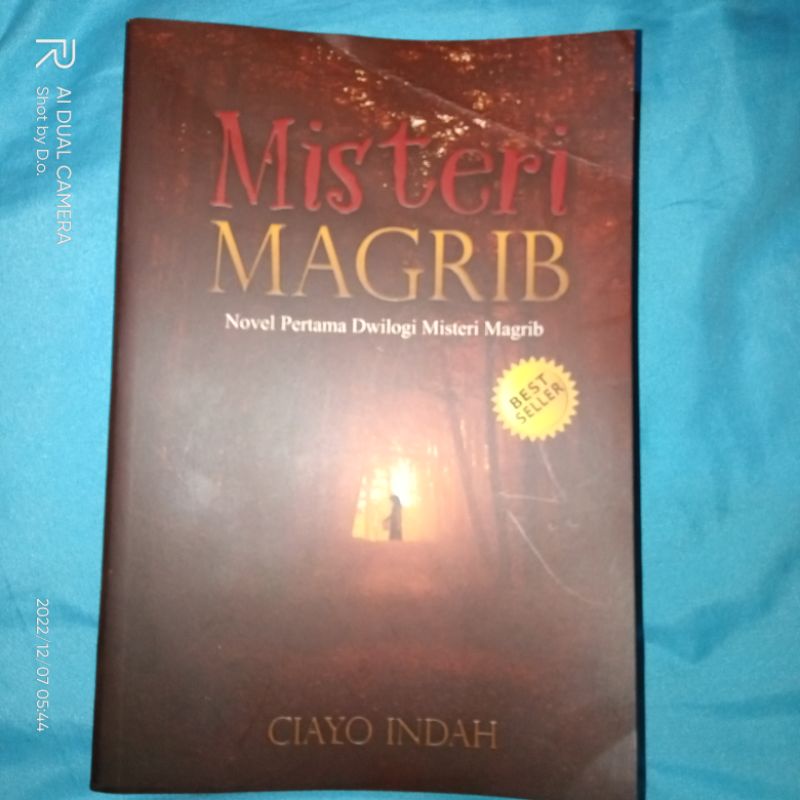 NOVEL PL CiayoIndah