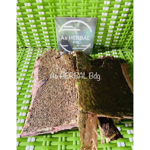 

Jual kulit pohon loa kulit pohon ara pohon picus segar 1 kg-az