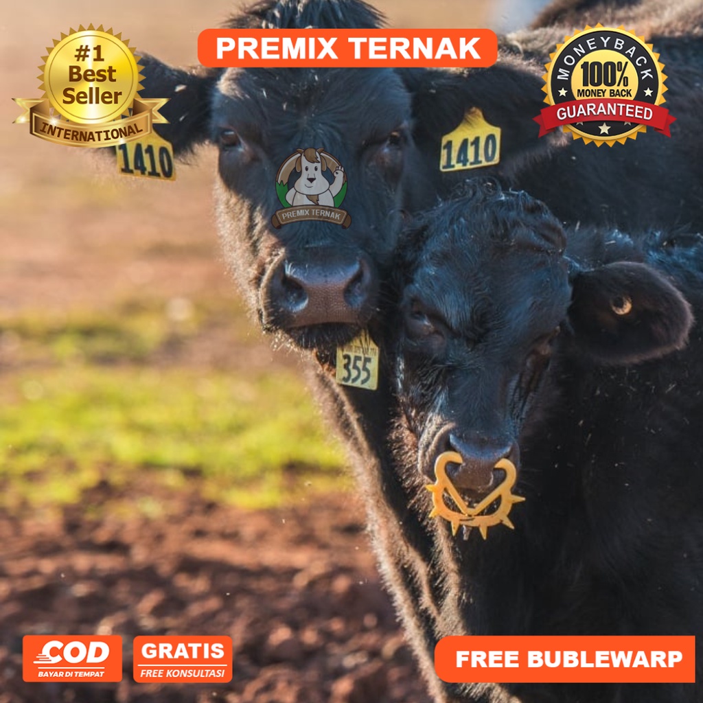 Alat Penyapih Anak Sapi Kerbau Kuda - Calf Weaner Nose Ring - Alat penyapih pedet - Premix Ternak