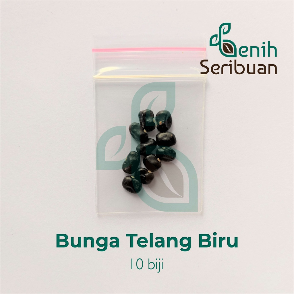 Benih Seribuan - 10 Bibit Bunga Telang Biru Non Tumpuk Tanaman Herb Unggul