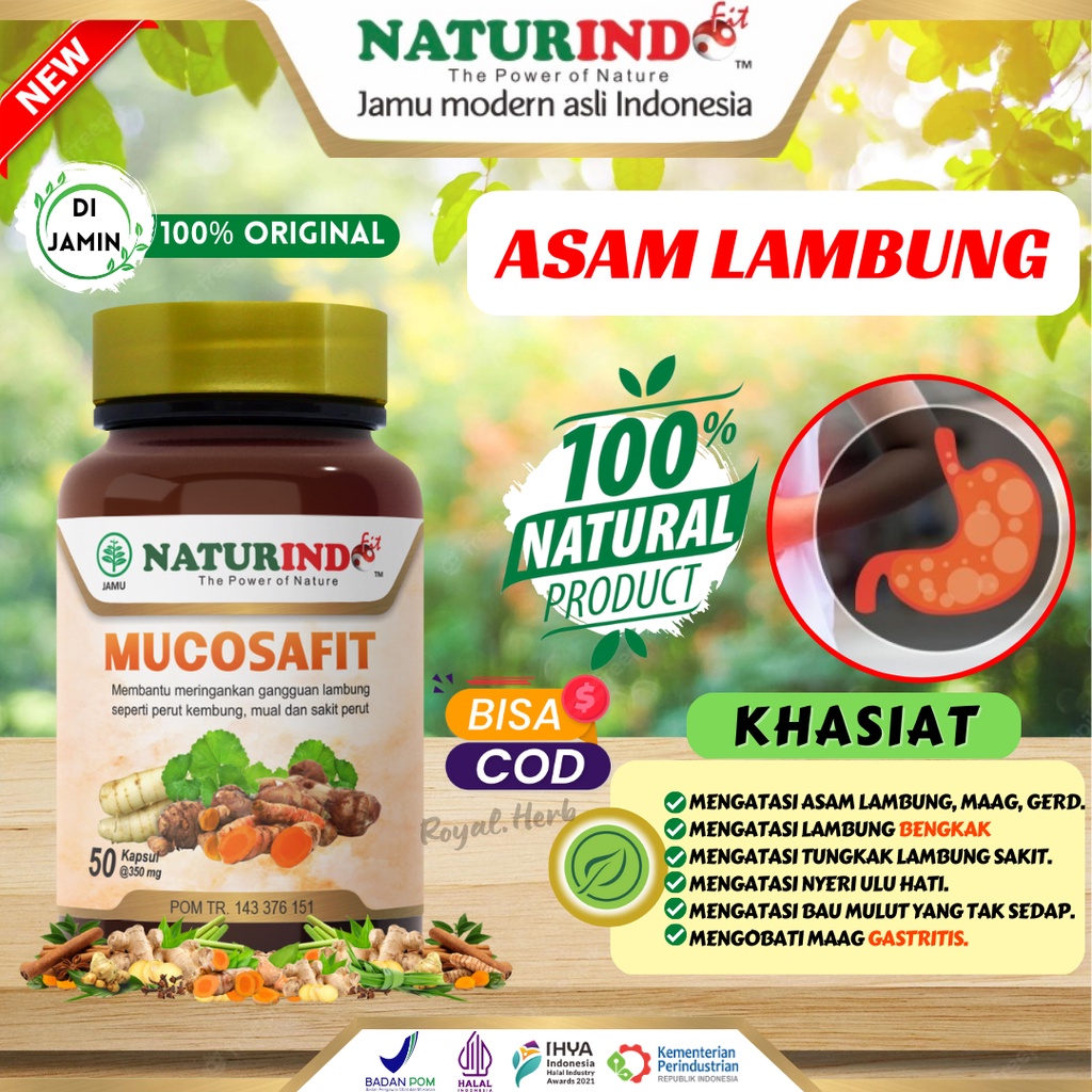 Jual Obat Asam Lambung Herbal Maag Magh Kronis Gerd Anxienty Paling