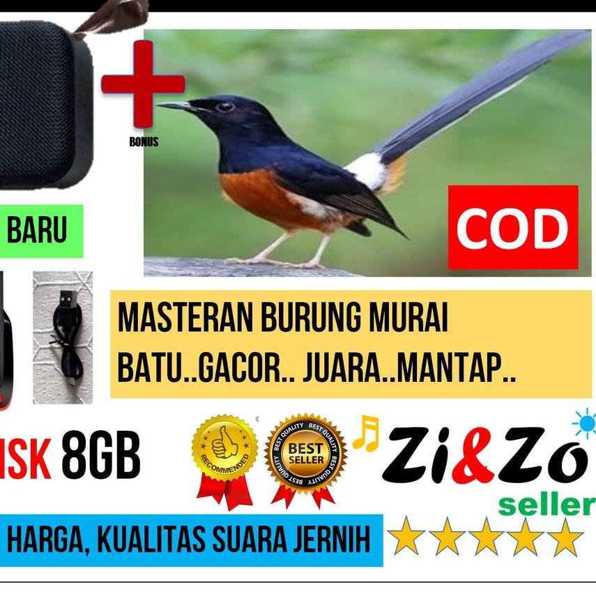 ✩ Speaker Mini T5 USB 8GB Bonus Isi MP3 Masteran Burung Murai Batu Gacor ♔