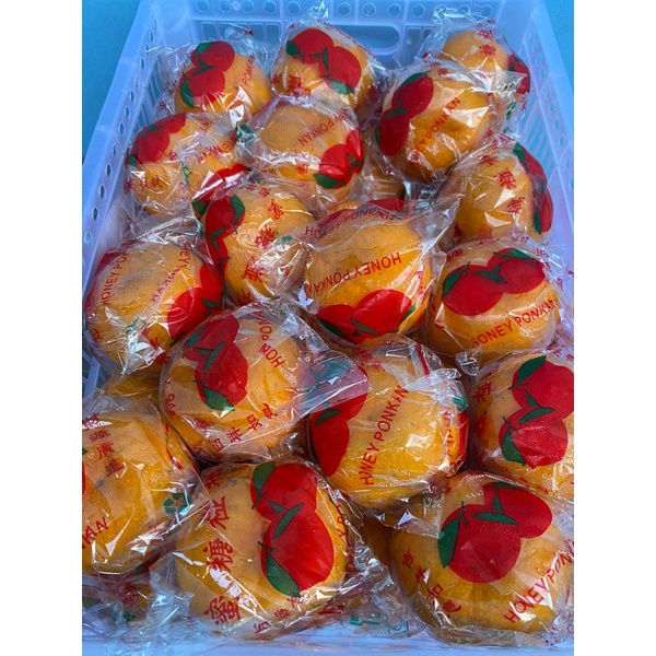 

Jeruk Ponkam Manis 1 keranjang 8kg