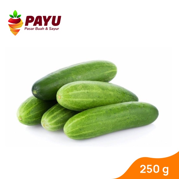 

PAYUFRESH | Timun Lokal / Timun Lalap [500g]