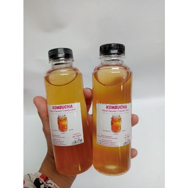 KOMBUCHA GREEN TEA 250 ML minuman fermentasi teh