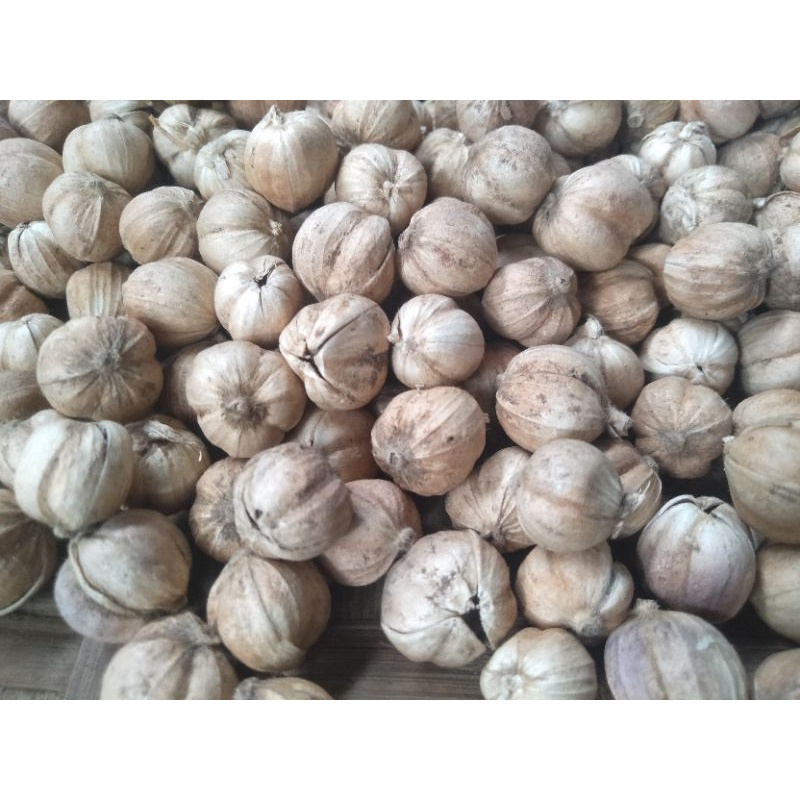 

Kapulaga Kualitas super