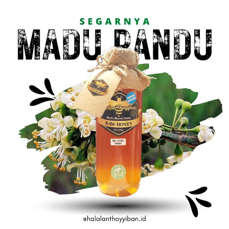 

Halalan Thoyyiban Raw Honey Madu Murni Alami Nektar Randu 600g