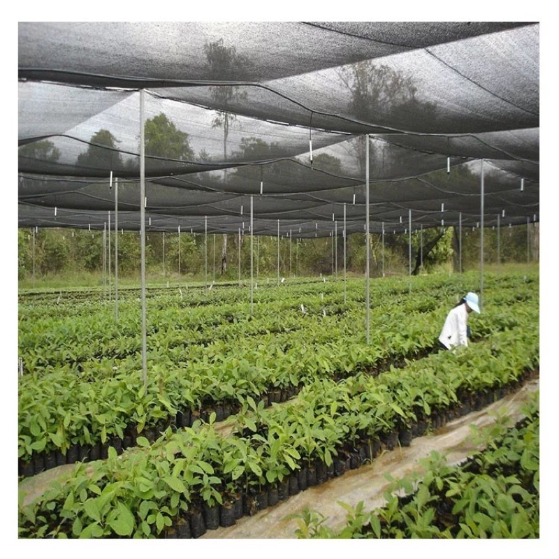 [PAKET] Paranet Import 90% (P.5m x L.3m) peneduh tanaman