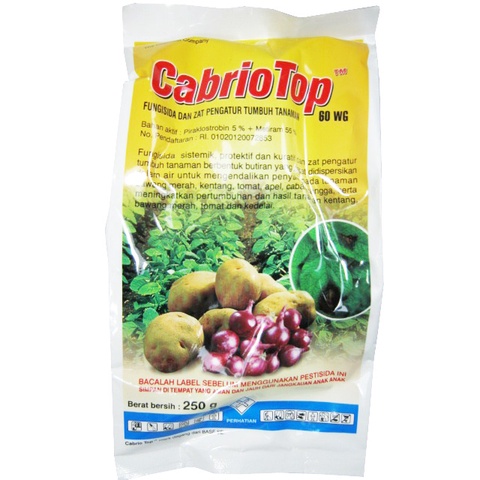 CABRIOTOP 500 GRAM