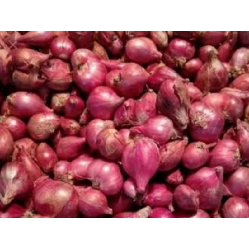 

bawang merah 100gr