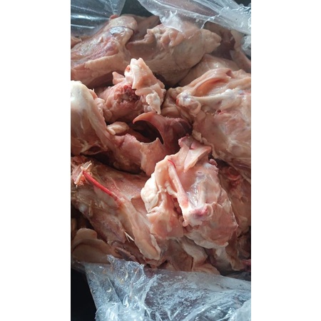 

kerongkongan Ayam