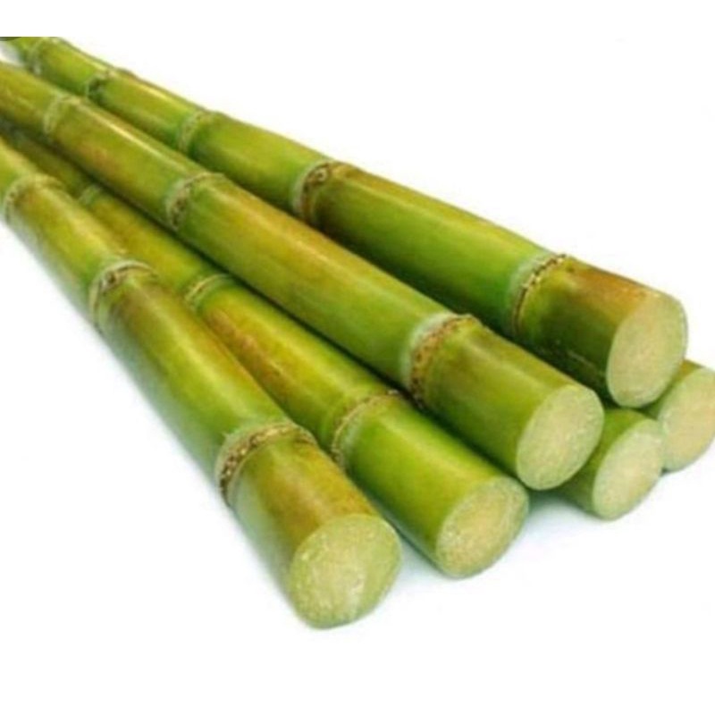 

Tebu hijau fresh/Batang
