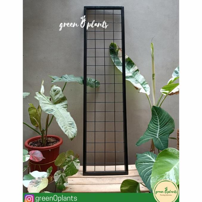 Rak vertical garden 25cm x 100cm