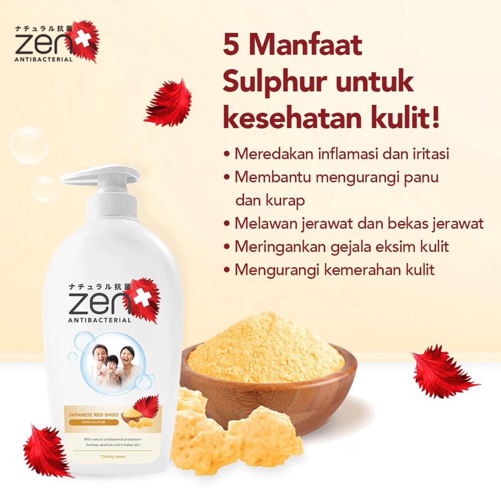 ZEN ANTIBACTERIAL BODY WASH PUMP 480ML