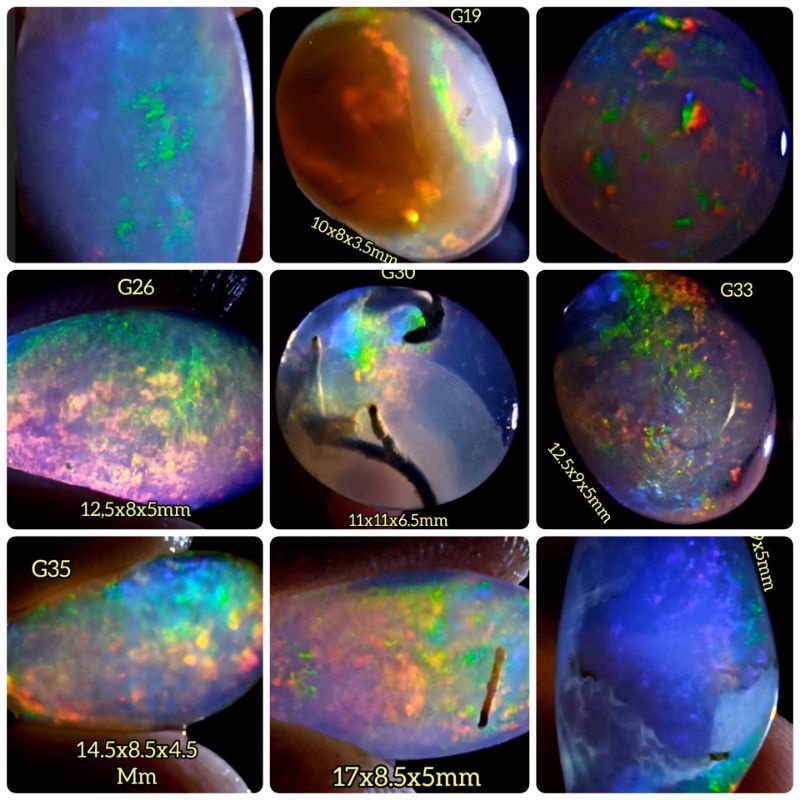 G1_G50 kalimaya asli original Banten milky.susu.teh.black Opal,kopi,solid,jarong kontes