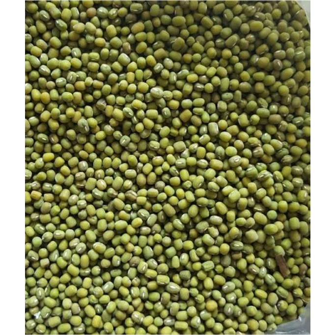Jual Kacang Hijau Bibit Benih Kecambah IMPOR WAKEMA kualitas SUPER ...