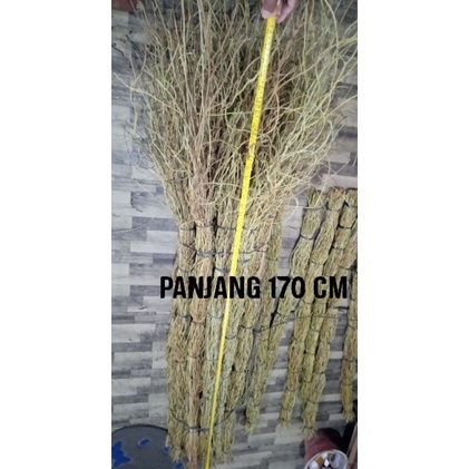 Alltechshop_ Akar Manon Isi 100 Batang Panjang 170 Cm Akar Manon Untuk Dekorasi Bunga Kering