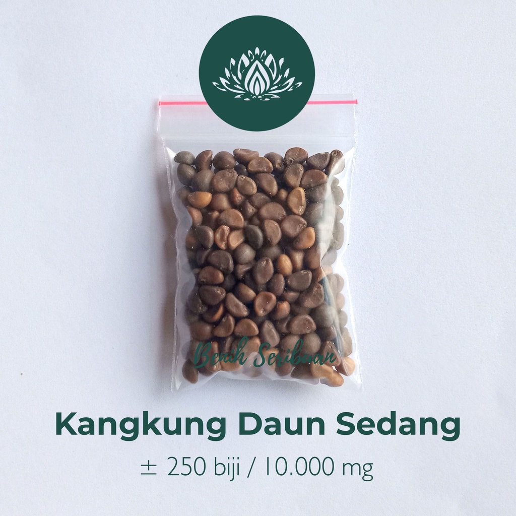 Benih Seribuan - 250 Bibit Sayuran Kangkung Daun Sedang Unggul