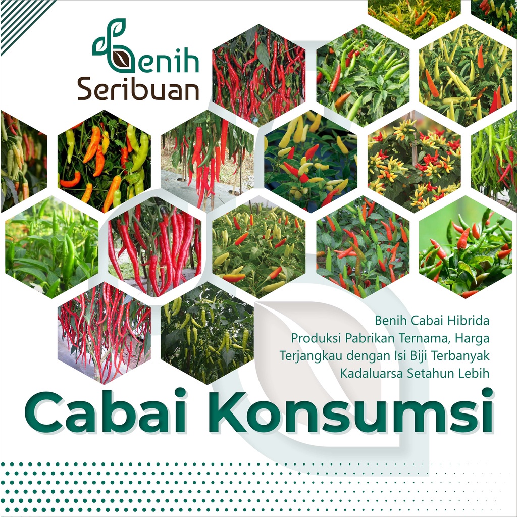 BENIH SERIBUAN - Aneka Bibit Cabe Konsumsi Sayur Sayuran Cabai Rawit Varian Unggulan