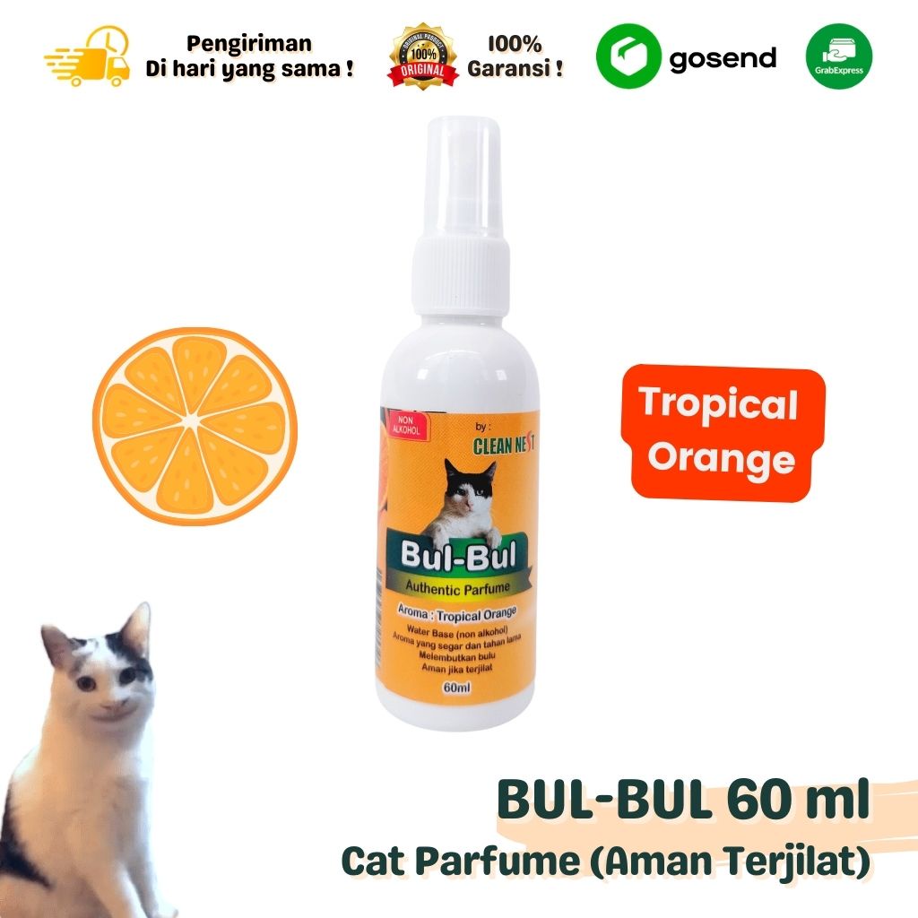 Parfum Kucing Aman Terjilat BUL BUL Non Alkohol Wangi Tropical Orange 60 ML