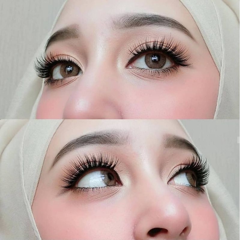 SOFTLENS MINI JELLY GRAY/ABU.NORMAL/MINUS(s.d -6.00)