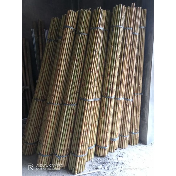 BAMBU CENDANI LURUS OPEN BERSIH MENGKILAT T 2 MTR