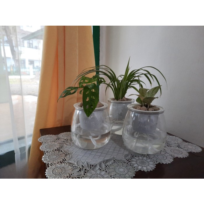 *$*$*$*$] Self Watering Planter Mini Round Succulent Pot otomatis hidroponik