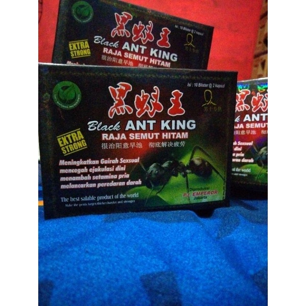 black ant king (raja semut hitam) original