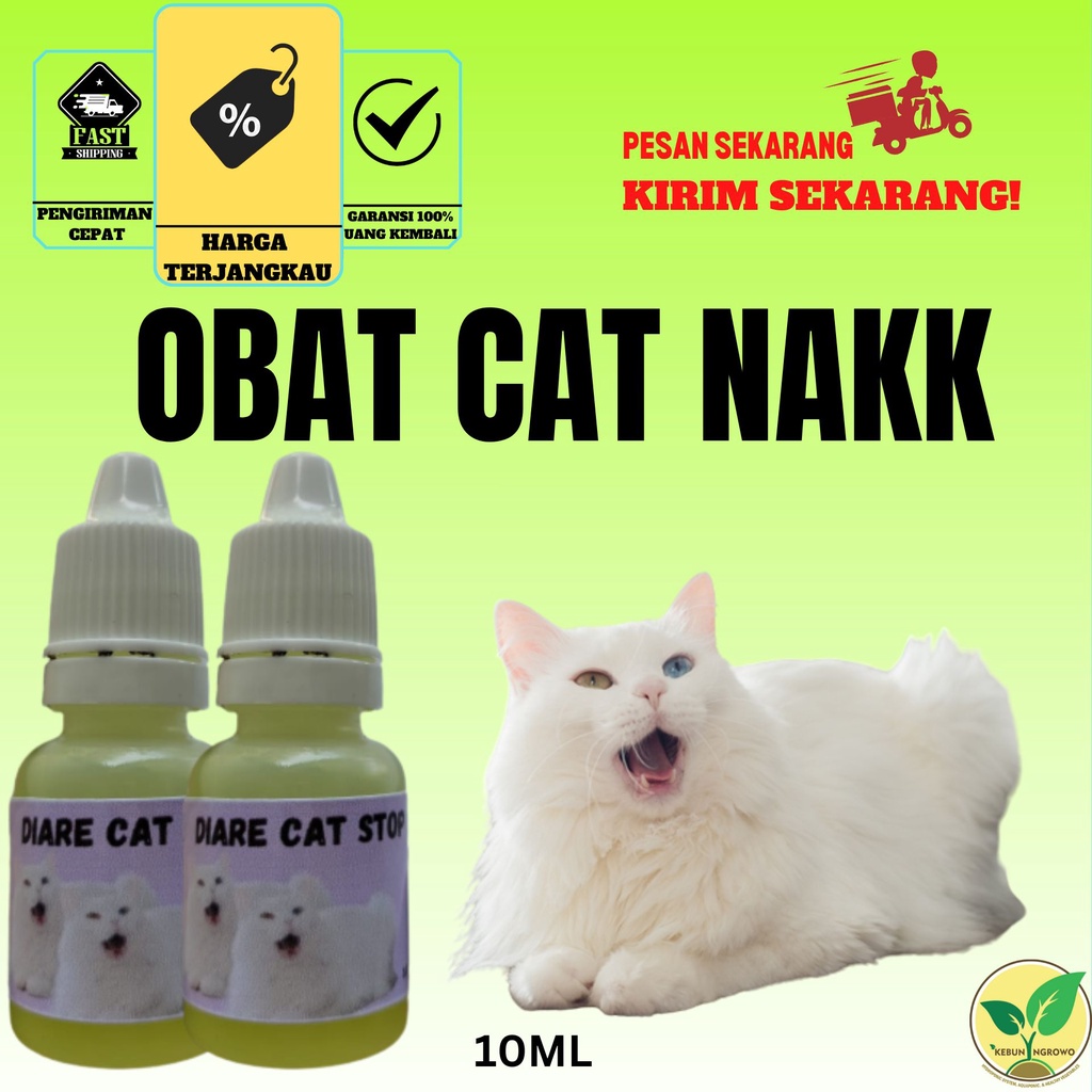 Jual Obat Kucing Mencret Diare Gangguan Pencernaan Cat Nak Vitamin