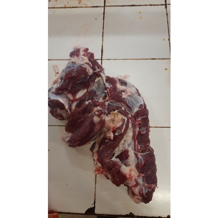 

Daging Kambing muda 1Kg fresh Daging kambing tanpa tulang