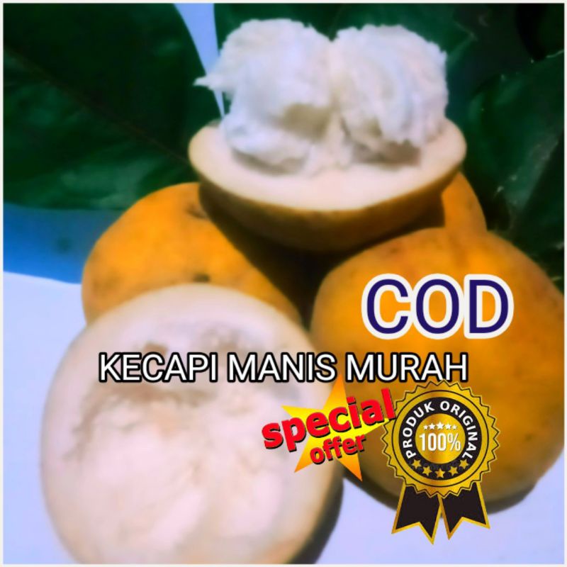 

BUAH KECAPI MANIS 1KG ANEKA BUAH BUHAN MANIS